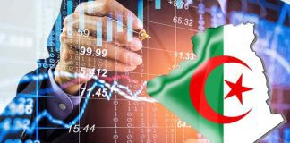 Loi Foncière en Algérie : Nouvelles Perspectives pour l'Investissement Économique
