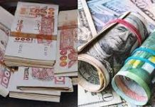 Marché Noir des Devises en Algérie : Euro au Sommet, Dollar en Hausse