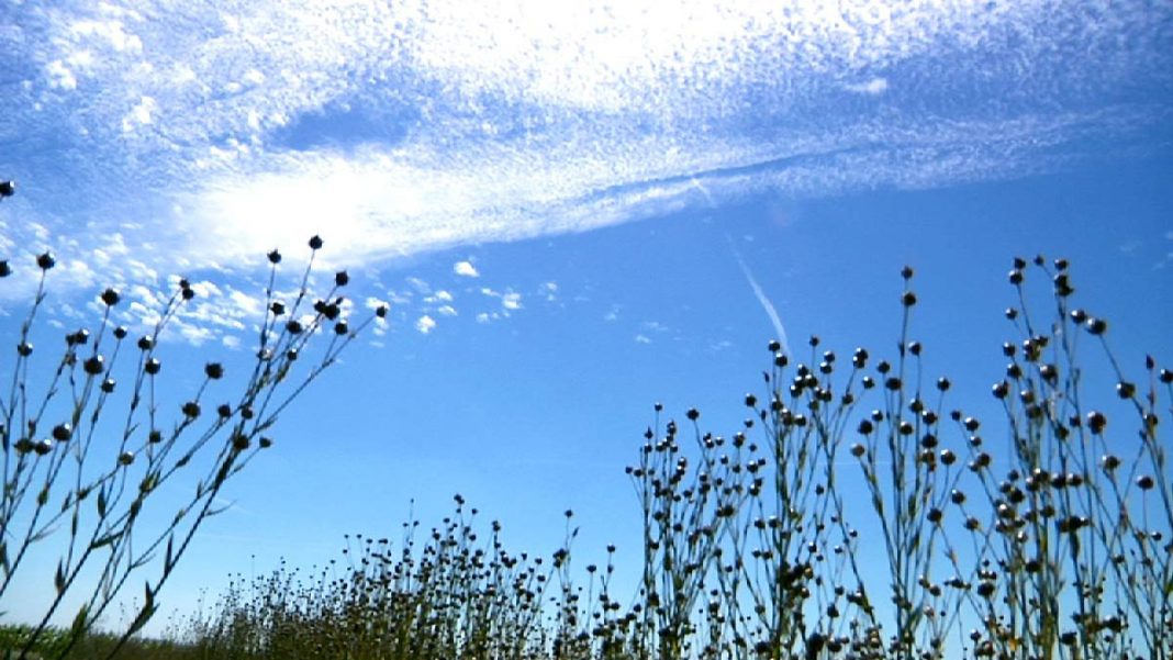 Météo en Algérie ce 28 novembre 2023 Quel Temps Nous Réservent les Cieux Météo en Algérie ce 28 novembre 2023 : Quel Temps Nous Réservent les Cieux ?