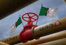 Prix du Gaz en Ébullition : L'Algérie Frappe Fort avec une Réduction de 6%