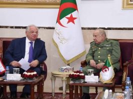 Rencontre au Sommet entre l'Algérie et la Russie : Les Enjeux de la Coopération Militaire