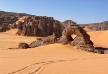 Sahara Connect : Quand l'Intelligence Artificielle Rencontre le Sahara Algérie