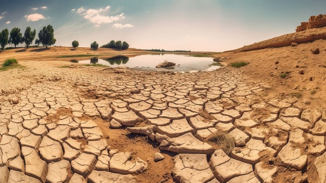 Sécheresse en Algérie La Course Contre la Montre des Céréaliers Sécheresse en Algérie : La Course Contre la Montre des Céréaliers