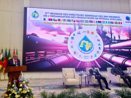 Sonatrach Étend son Influence : Des Partenariats en Hydrocarbures Redéfinissent la Coopération Africain