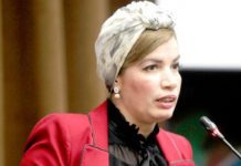 Soraya Mouloudji, Ministre de la Culture et des Arts, Annonce une Initiative Majeure pour Revitaliser le Cinéma Algérien