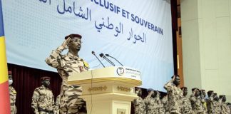 Tchad : Le Référendum Constitutionnel, une Transition Incertaine vers l'Inconnu