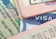 Visas Schengen : L'Europe Ouvre ses Portes aux Nomades Numériques