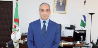 Adel Bentoumi, PDG d'Algérie Télécom, Récompensé du Prix 'Africa CEO Merit Leader of the Year 2023' à Dubaï