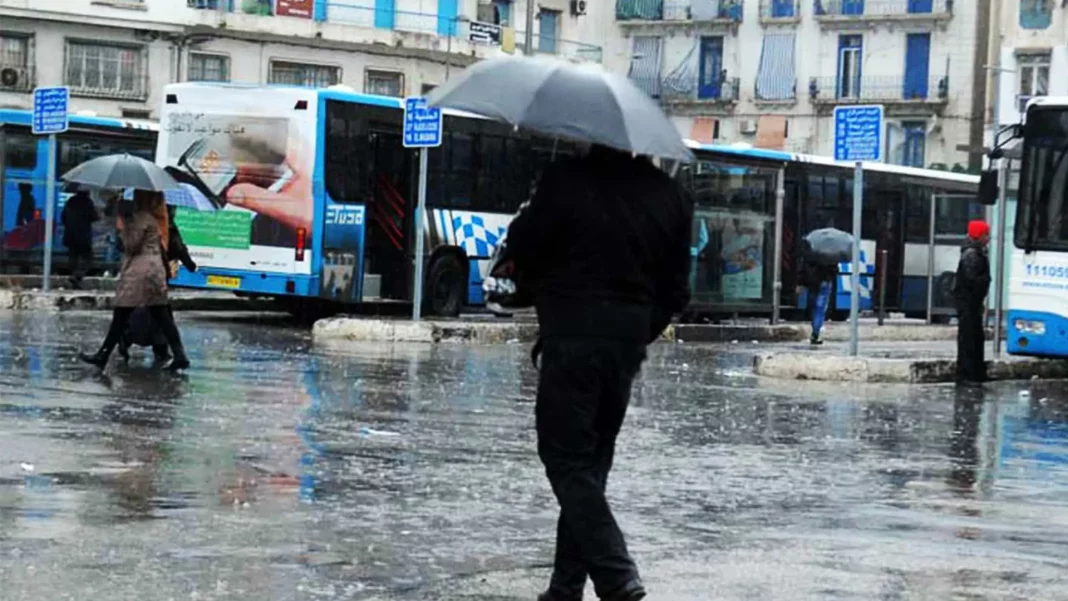 Bulletin Météo en Algérie Pluie et Baisse des Températures pour ce Début de Décembre Bulletin Météo en Algérie : Pluie et Baisse des Températures pour ce Début de Décembre