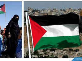 Déclaration universelle des droits de l’Homme : La Violation Permanente des Droits des Palestiniens et Sahraouis