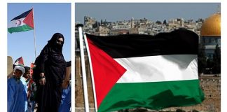 Déclaration universelle des droits de l’Homme : La Violation Permanente des Droits des Palestiniens et Sahraouis