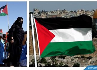 Déclaration universelle des droits de l’Homme : La Violation Permanente des Droits des Palestiniens et Sahraouis