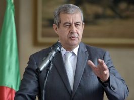Diplomatie Algérienne : Un Nouvel Ambassadeur en Indonésie pour Renforcer les Liens Bilatéraux