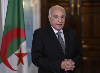 Diplomatie Algéro-Sud-Africaine : Un Héritage Révolutionnaire Qui Forge l'Avenir