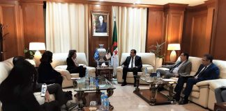 Diplomatie Énergétique : L'Algérie et l'ONU Travaillent Main dans la Main pour l'Afrique