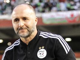 Djamel Belmadi : L'Éclaireur de l'Équipe Nationale Algérienne Avant la CAN 2023