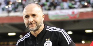 Djamel Belmadi : L'Éclaireur de l'Équipe Nationale Algérienne Avant la CAN 2023
