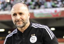 Djamel Belmadi : Son Avenir à la Tête de l'Équipe d'Algérie en Question Après la CAN 2023