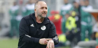 Djamel Belmadi et l'Équipe d'Algérie : Les Prémices d'une Aventure Africaine