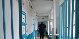 Entre les Barreaux et les Punaises de Lit : L'Incroyable Choix d'un Algérien de Retourner en Prison
