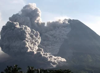 Éruption Volcanique en Indonésie : Un Spectacle Terrifiant et 42 Randonneurs Disparus, le Cauchemar du Marapi