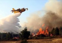 Incendies en Algérie : L'arrivée imminente de 6 avions bombardiers d'eau redéfinit la lutte contre le feu