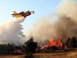 Incendies en Algérie : L'arrivée imminente de 6 avions bombardiers d'eau redéfinit la lutte contre le feu