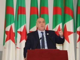 L'Algérie Face à un Tournant Démocratique : L'Appel Vibrant de la Société Civile