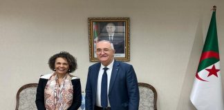 L'Algérie et l'ONU : Un Partenariat Stratégique pour le Développement de l'Afrique