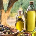L'Élixir d'Algérie : L'Opportunité Dorée de l'Huile d'Olive à l'Export