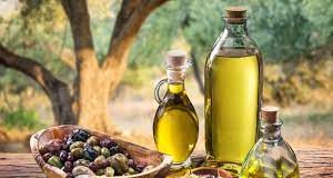 L'Élixir d'Algérie : L'Opportunité Dorée de l'Huile d'Olive à l'Export