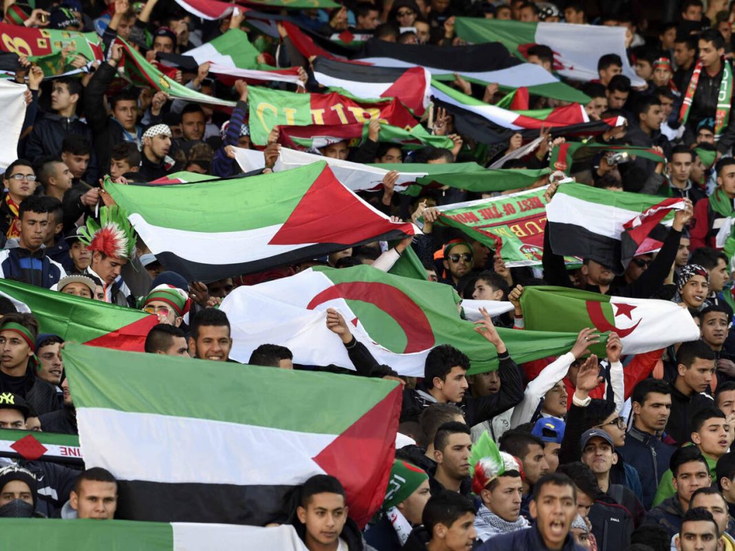 La Palestine Choisit l'Algérie pour son Stage Avant la Coupe d'Asie La Palestine Choisit l'Algérie pour son Stage Avant la Coupe d'Asie