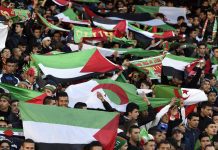 La Palestine Choisit l'Algérie pour son Stage Avant la Coupe d'Asie