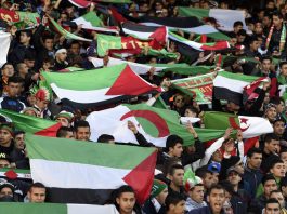 La Palestine Choisit l'Algérie pour son Stage Avant la Coupe d'Asie