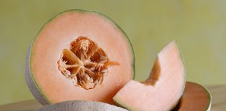 La Salmonellose Frappe au Cœur du Canada : L'Épidémie Meurtrière des Cantaloups