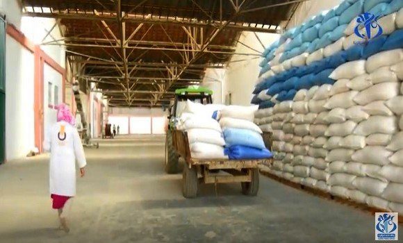 Le Défi des Silos de Stockage des Céréales en Algérie : Une Vision d'Avenir
