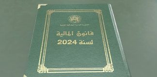 Loi de Finances 2024 en Algérie : Les Clés de la Préservation du Pouvoir d'Achat et de la Croissance