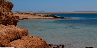 Mer Rouge : Les Houthis, une Menace Croissante pour le Commerce Mondial