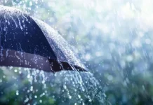 Météo Algérie : Pluie et Baisse des Températures dès Demain - Préparez-vous pour un Changement Soudain !