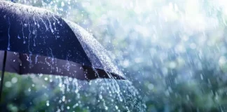 Météo Algérie : Pluie et Baisse des Températures dès Demain - Préparez-vous pour un Changement Soudain !