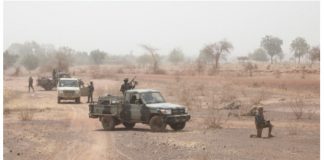 Opération Anti-Terroriste au Niger : Une Vingtaine de Terroristes Neutralisés dans l'Ouest du Pays