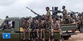 Opération Anti-Terroriste en Somalie : 130 Terroristes Shebab Neutralisés dans une Offensive sans Merci
