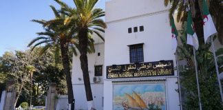 Palestine : Appel Urgent du CNDH à la Fin des Crimes et à l'Action de la Communauté Internationale