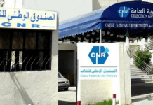 Révolution Digitale pour les Retraités Algériens : La CNR ouvre un Monde de Services en Ligne