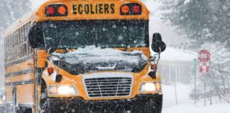 Tempête de neige au Québec : Pannes électriques et écoles fermées, la région de l'Estrie en alerte