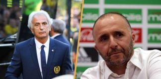 Vahid Halilhodzic vs Djamel Belmadi : La Perception Changeante des Entraîneurs de l'Équipe Nationale Algérienne