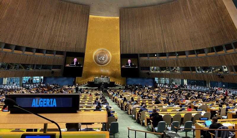 Algérie : L'ONU Scrute les Réformes des Droits de l'Homme, Vers un Changement Profond ?
