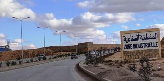 Algérie : Le Foncier Industriel à l'Ère du Numérique - Un Pas de Géant vers l'Investissement