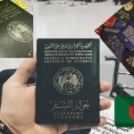 Classement mondial des passeports 2023 : L'Algérie au Bord du Précipice