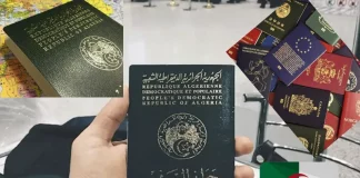 Classement mondial des passeports 2023 : L'Algérie au Bord du Précipice